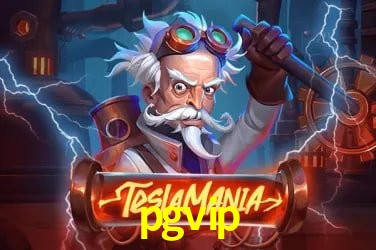 Descubra o Programa VIP da pgvip: Vantagens Exclusivas para Jogadores