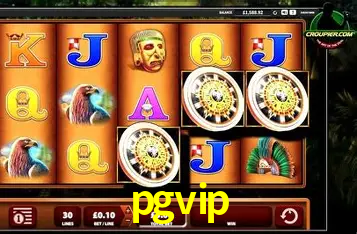 Descubra o Mundo do Cassino Online com pgvip