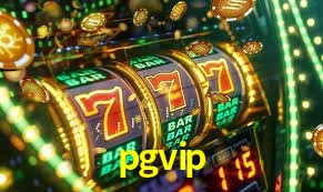 Secure Login pgvip