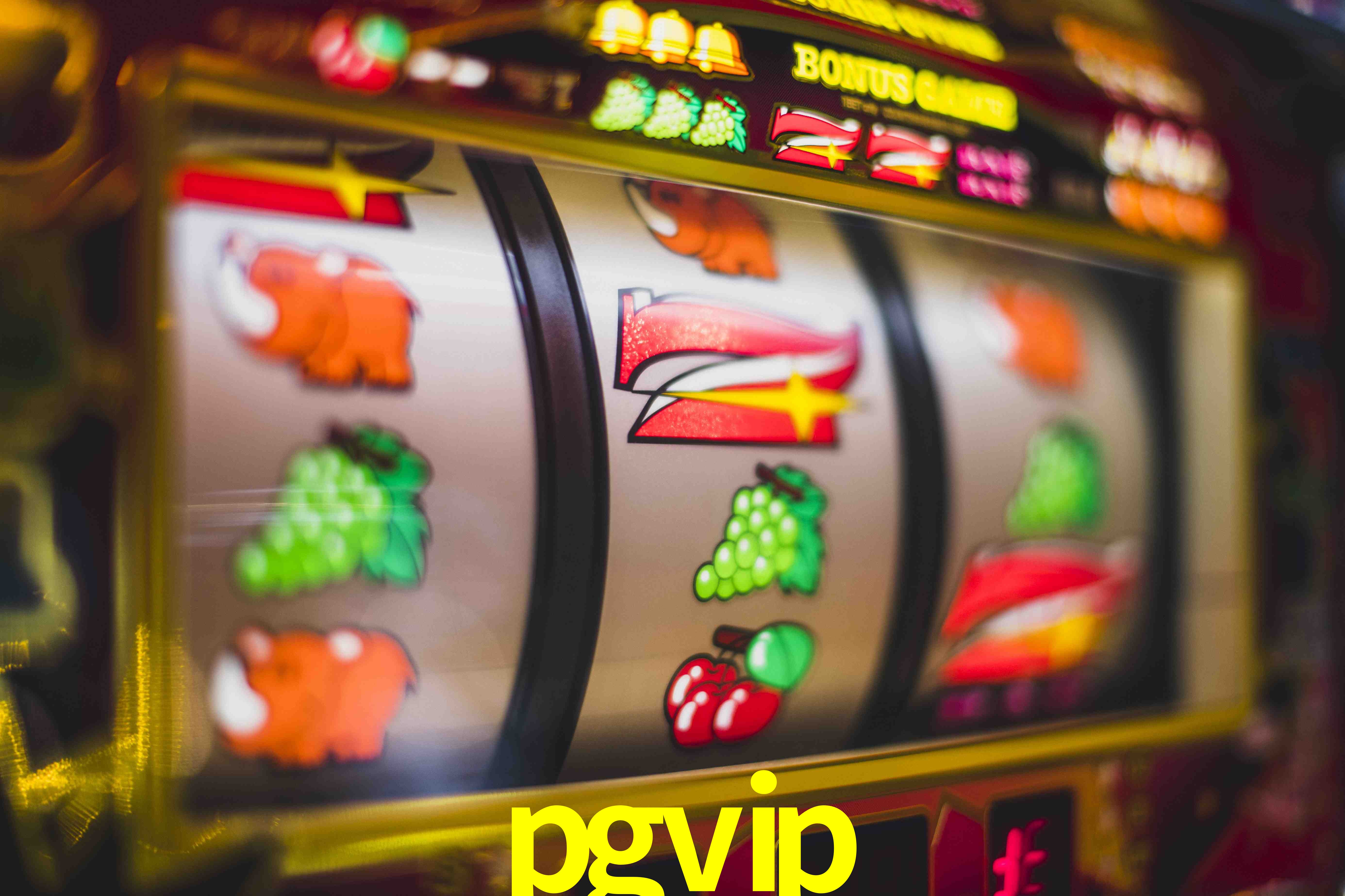 Daily Bonuses pgvip